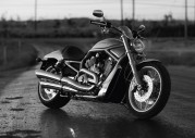 Harley-Davidson VRSCAW V-Rod